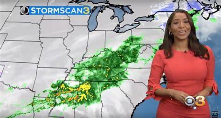 Meteorologist: Who Is Llarisa Abreu Husband Wesley Bobbit? Family And Net Worth
