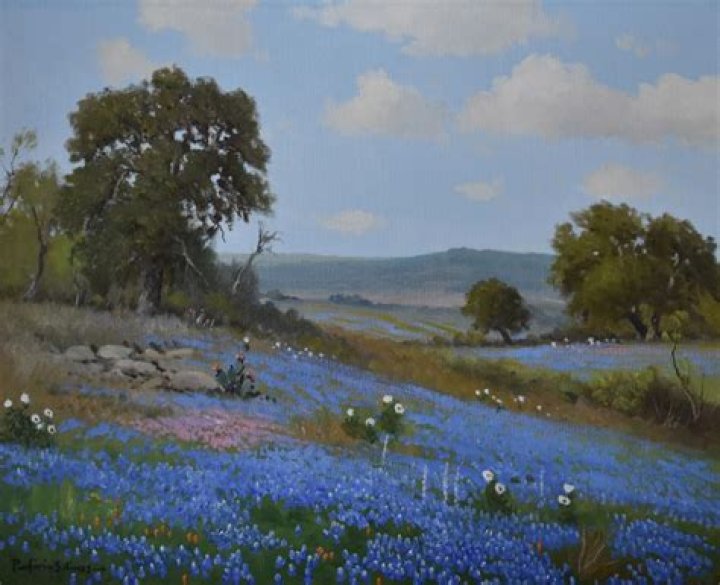 Porfirio Salinas