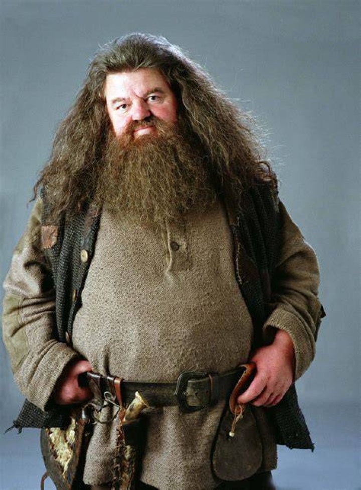 Rubeus Hagrid