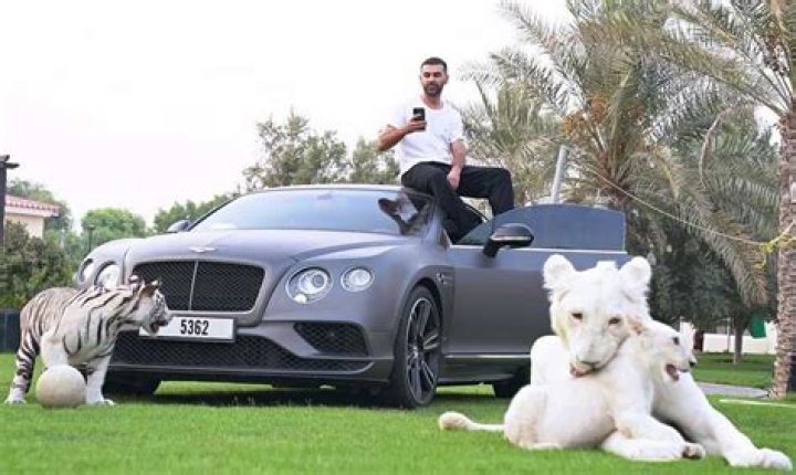 Saygin Yalcin net worth